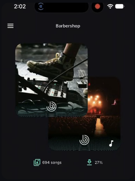 Brandtrack Player screen playing music on the iPad